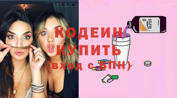 шишки Богородицк